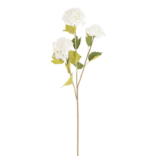 Hydrangea x3 Head Spray White (70cmH)