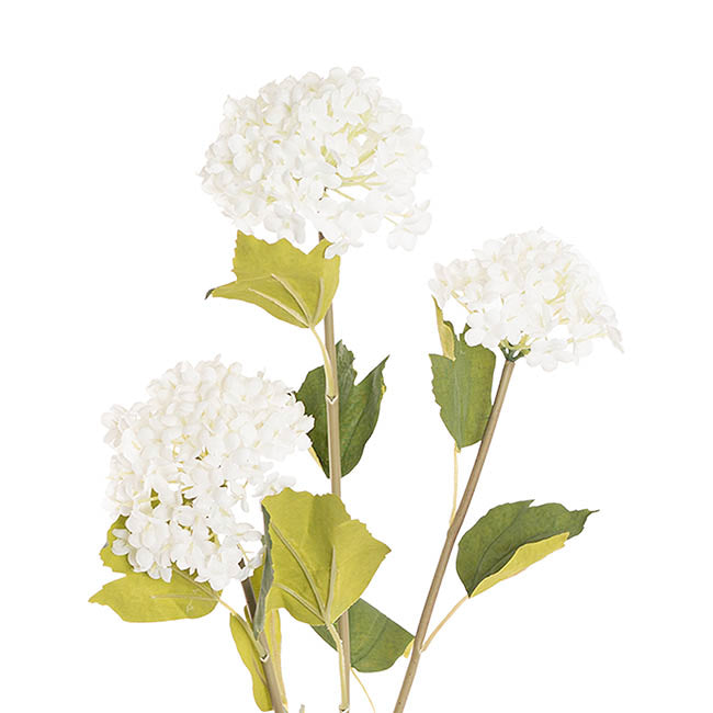 Hydrangea x3 Head Spray White (70cmH)