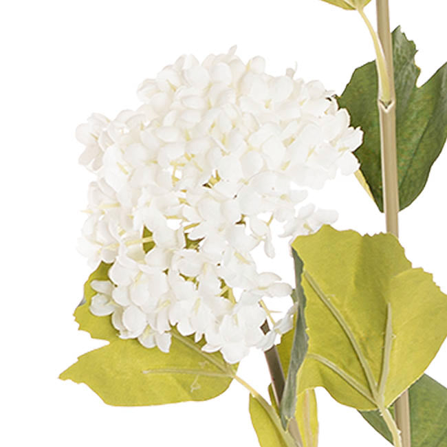 Hydrangea x3 Head Spray White (70cmH)