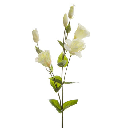 Lisianthus Spray Cream (89cmH)