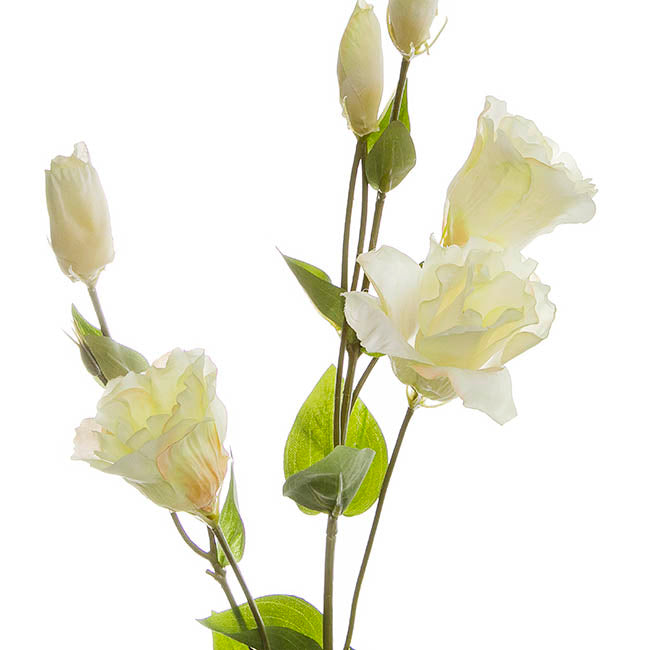 Lisianthus Spray Cream (89cmH)