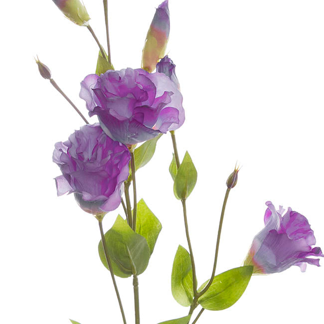 Lisianthus Spray Purple (89cmH)