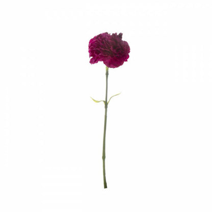 Carnation Ruffle Stem Burgundy (9cmDx42cmH)