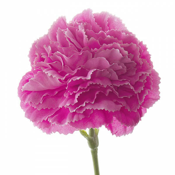 Carnation Ruffle Stem Hot Pink (9cmDx42cmH)