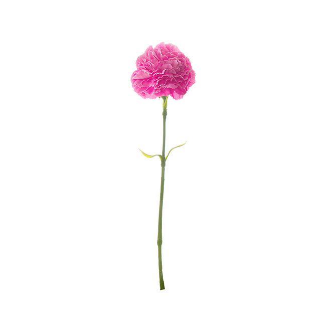 Carnation Ruffle Stem Hot Pink (9cmDx42cmH)
