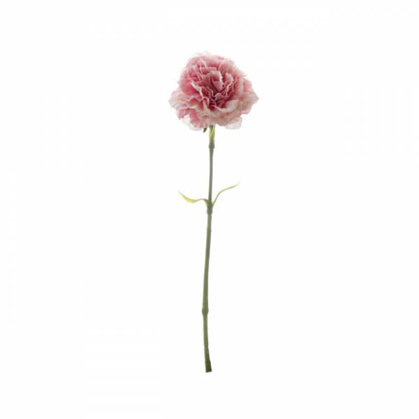 Carnation Ruffle Stem Light Pink (9cmDx42cmH)