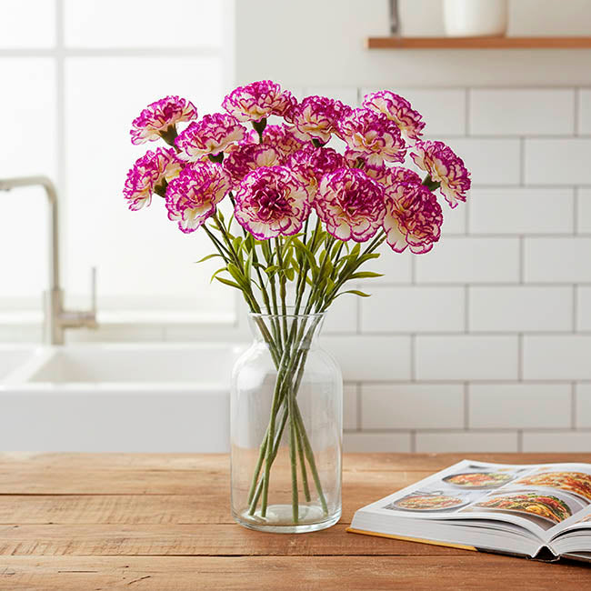 Carnation Ruffle Stem Cream Purple (9cmDx42cmH)