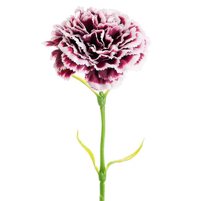 Carnation Ruffle Stem Cream Wine (9cmDx42cmH)