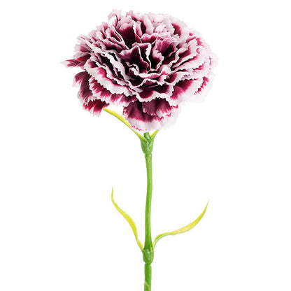 Carnation Ruffle Stem Cream Wine (9cmDx42cmH)