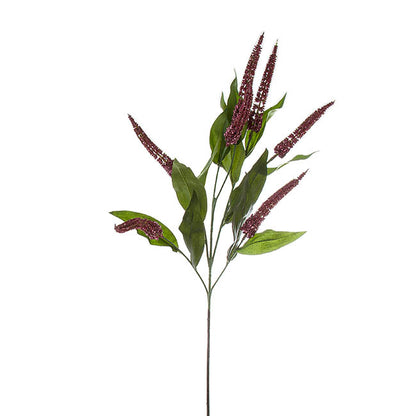 Cascara Berry Spray x7 Burgundy (84cmH)0