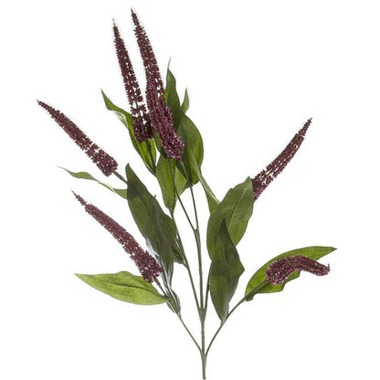 Cascara Berry Spray x7 Burgundy (84cmH)0