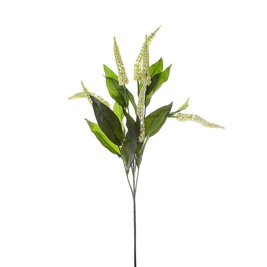 Cascara Berry Spray x7 Cream (84cmH)