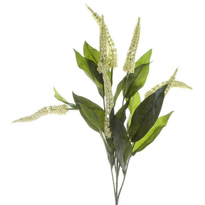 Cascara Berry Spray x7 Cream (84cmH)