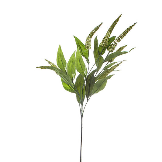 Cascara Berry Spray x7 Green (84cmH)