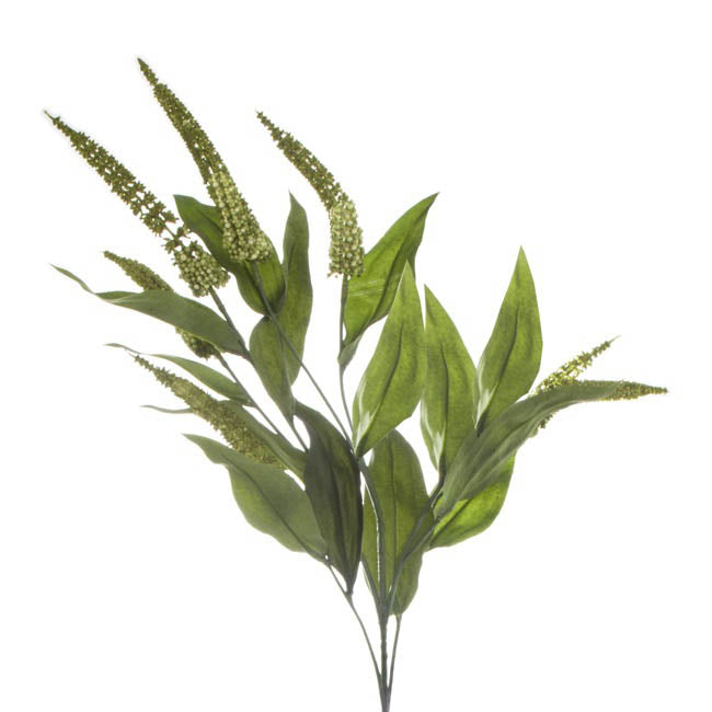 Cascara Berry Spray x7 Green (84cmH)