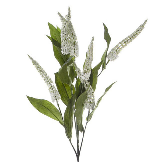 Cascara Berry Spray x7 White (84cmH)