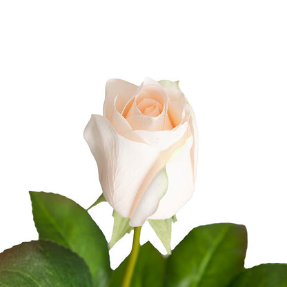 Bella Real Touch Rose Bud Soft Peach (60cmH)