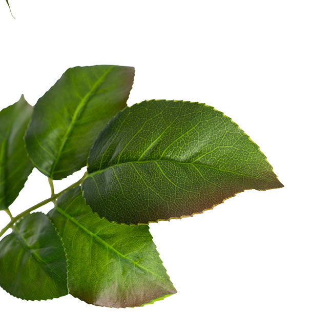 Bella Real Touch Rose Bud Soft Peach (60cmH)