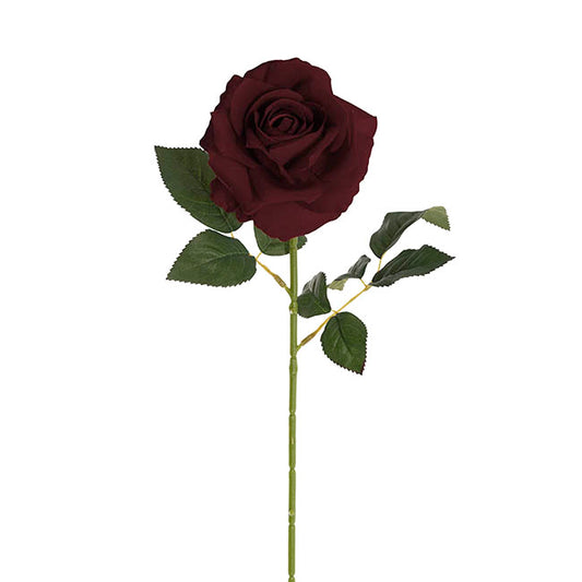 Velvet Rose Full Bloom Stem Burgundy (13cmDx75cmH)