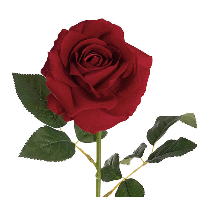 Velvet Rose Full Bloom Stem Dark Red (13cmDx75cmH)