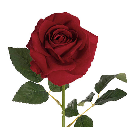 Velvet Rose Full Bloom Stem Dark Red (13cmDx75cmH)