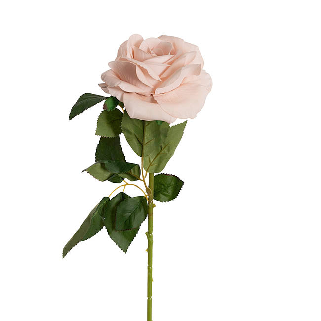 Velvet Rose Full Bloom Stem Powder Pink (13cmDx75cmH)