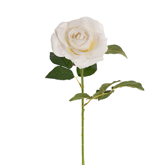 Velvet Rose Full Bloom Stem White (13cmDx75cmH)