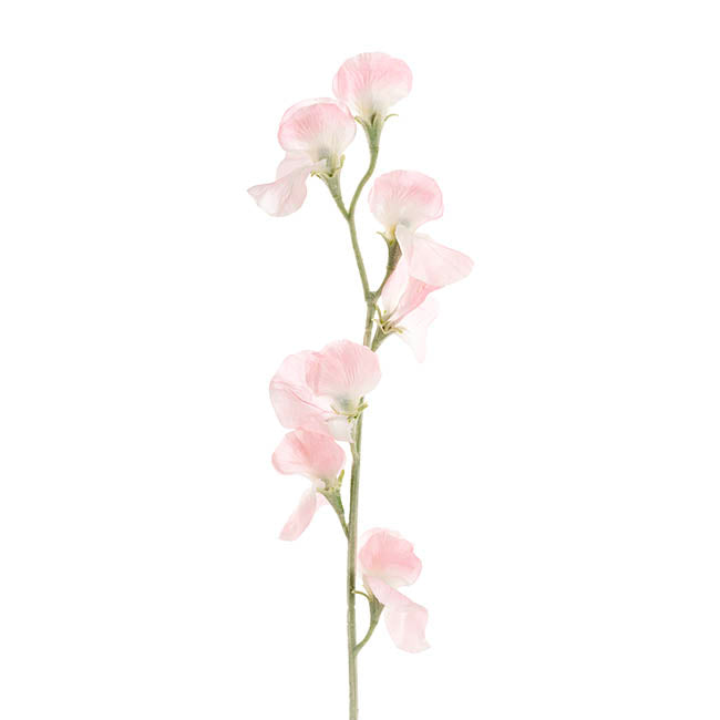 Sweet Pea Flower Stem Soft Pink (63cmH)