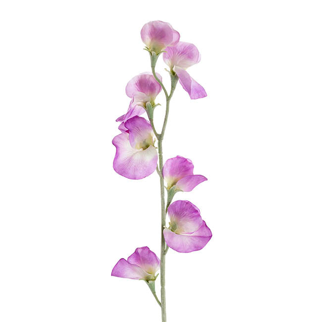 Sweet Pea Flower Stem Purple (63cmH)