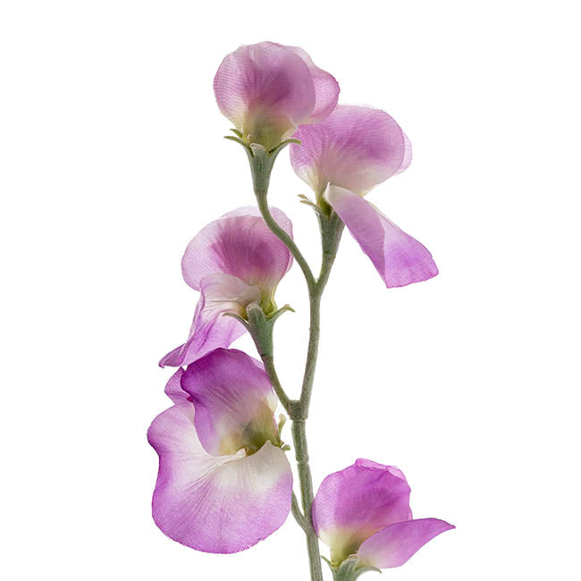 Sweet Pea Flower Stem Purple (63cmH)
