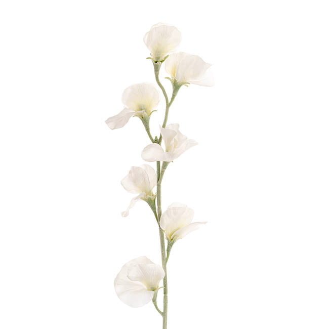 Sweet Pea Flower Stem White (63cmH)