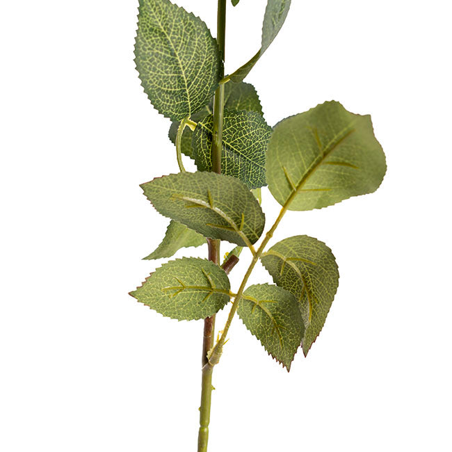 Siena Real Touch Rose Bud White (60cmH)