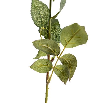 Siena Real Touch Rose Bud White (60cmH)