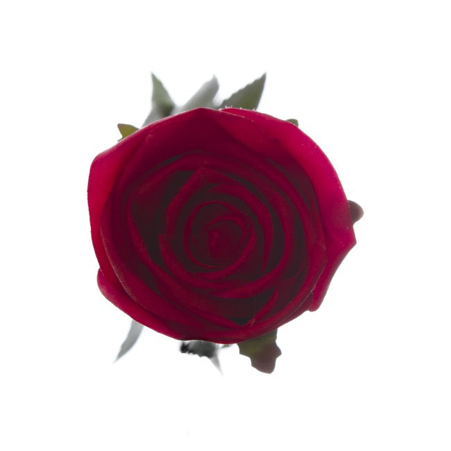 Siena Silk Rose Large Bud Half Open Red (66cmH)