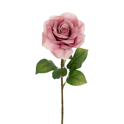 Holland Rose Open Soft Orchid (15cmDx67cmH)