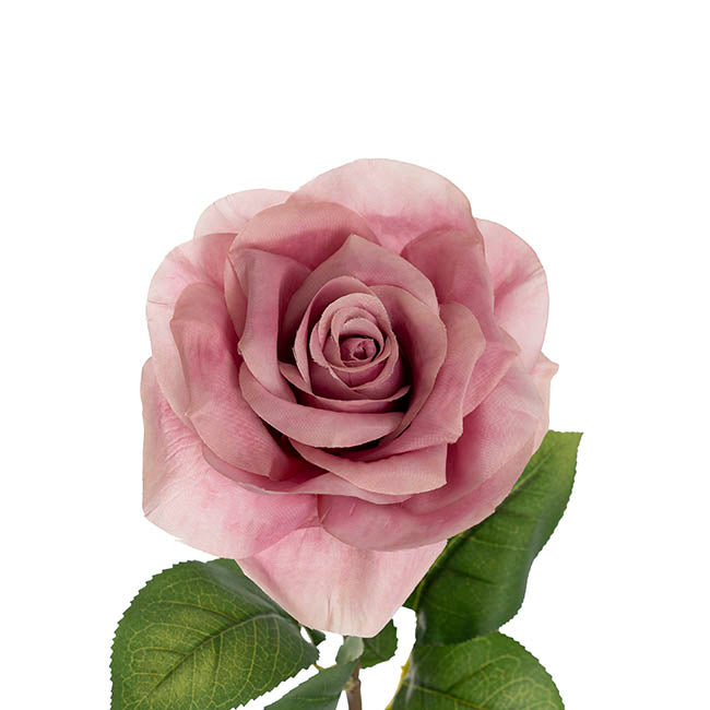 Holland Rose Open Soft Orchid (15cmDx67cmH)