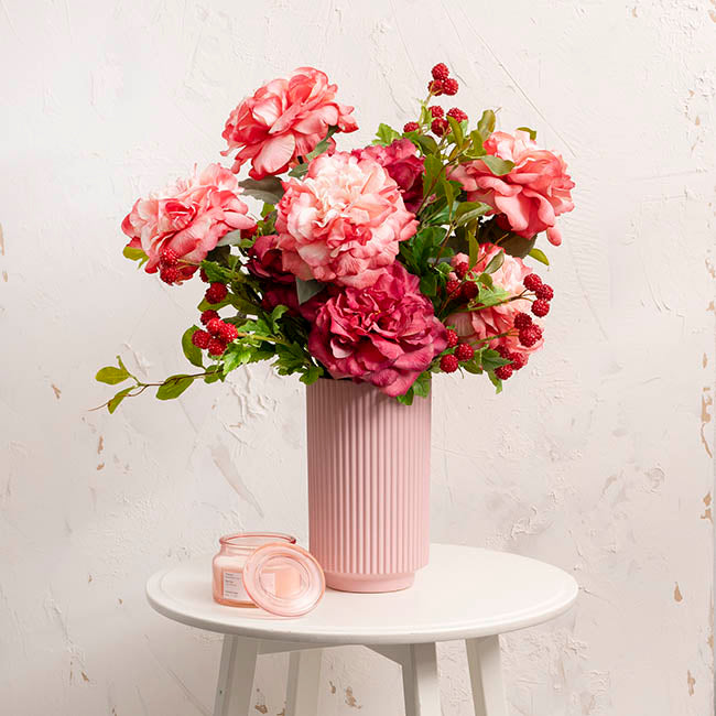 Rose Gruss An Aachen Stem Pink (68cmH)