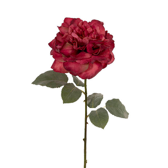 Rose Gruss An Aachen Stem Wine (68cmH)