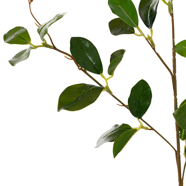 Banyan Leaf Spray Green (84cmH)