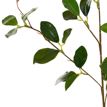 Banyan Leaf Spray Green (84cmH)