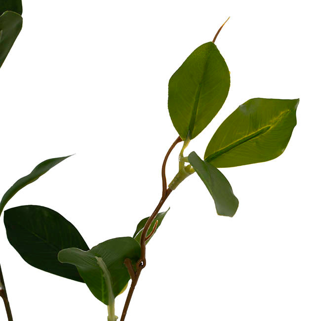 Banyan Leaf Spray Green (84cmH)