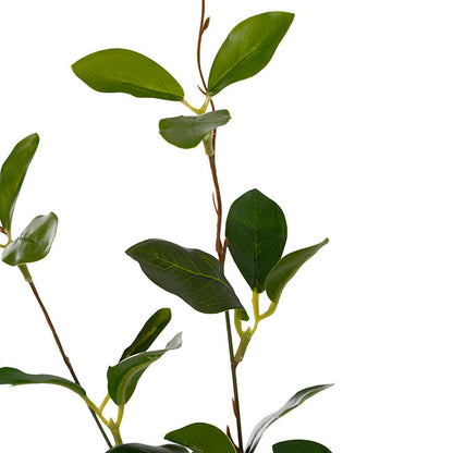 Banyan Leaf Spray Green (84cmH)