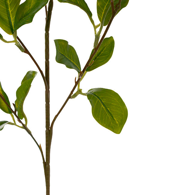 Banyan Leaf Spray Light Green (84cmH)