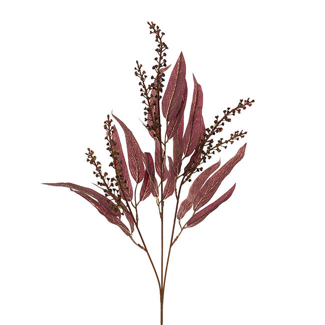 Eucalyptus Willow Leaf & Seed Spray Burgundy (77cmH)