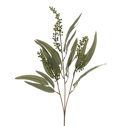 Eucalyptus Willow Leaf & Seed Spray Green (77cmH)