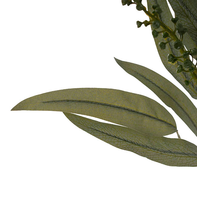 Eucalyptus Willow Leaf & Seed Spray Green (77cmH)