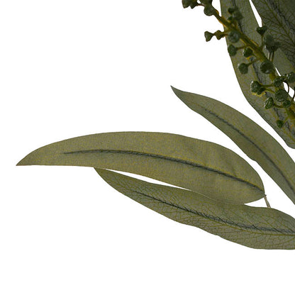 Eucalyptus Willow Leaf & Seed Spray Green (77cmH)