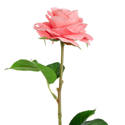 Miller Rose Open Real Touch Coral Pink (9cmDx57cmH)