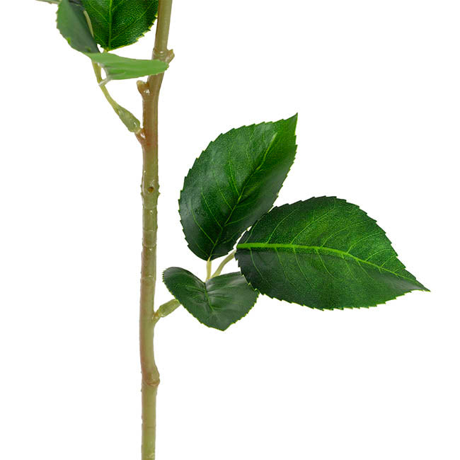 Miller Rose Open Real Touch Coral Pink (9cmDx57cmH)