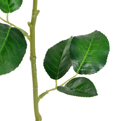 Miller Rose Open Real Touch Pale Pink (9cmDx57cmH)